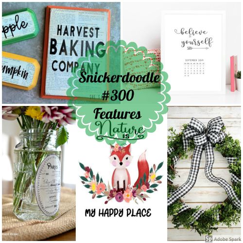 Snickerdoodle Create Bake Make Party #301