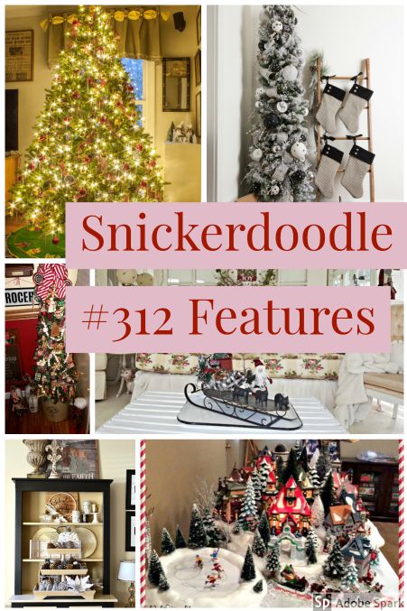 Snickerdoodle Create Bake Make Party #313
